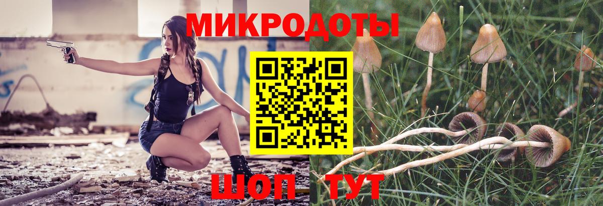 Жигулёвск  Галлюциногенные грибы Psilocybe  Вход с VPN 